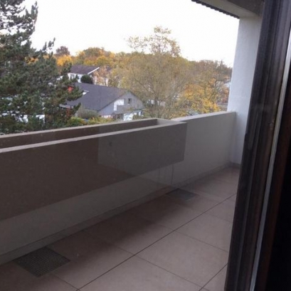 Große renovierte 2 Zimmer Wohnung mit EBK,Balkon und Garagenstellplatz in Kehl