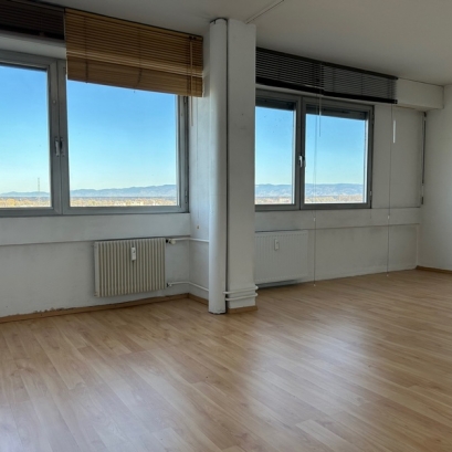 Appartement 1 pièce Kehl Jardin des deux rives