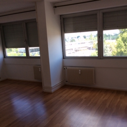 1 Zimmer-Wohnung in schöner Lage in Kehl