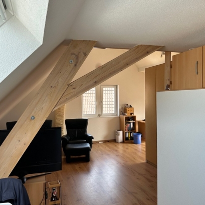 Appartement 1 pièce spacieux avec cuisine équipée Willstätt Appartement 1 pièce spacieux avec cuisine équipée Willstätt