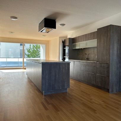 Appartement 4 pièces de standing Kehl centre