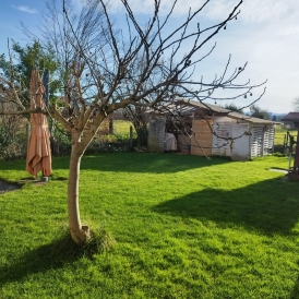 Appartement 3 pièces en rez-de jardin avec beau jardin Offenburg 