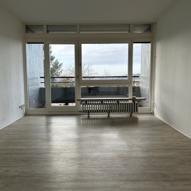 2 Zimmer-Wohnung in Offenburg am Gifizsee