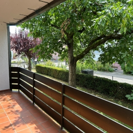 Großzügige 1,5 Zimmer-Wohnung mit toller Terrasse in Kehl