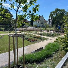 3,5 Zimmer-Wohnung mit wunderschönem Blick auf den Rosengarten in Kehl