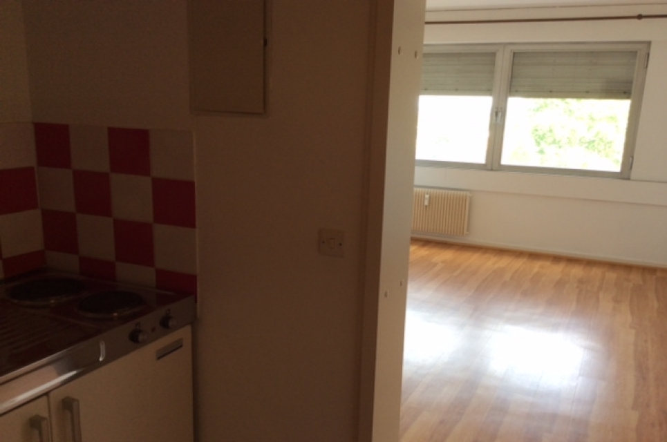 1 Zimmer Wohnung In Schoner Lage In Kehl City Immobilien Maio